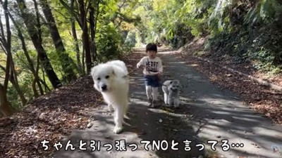 シュシュちゃんをたしなめるろのちゃん