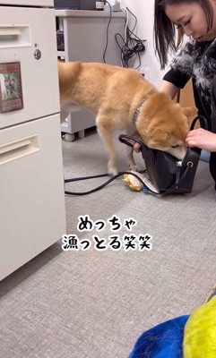 荷物を漁り始めました（笑）