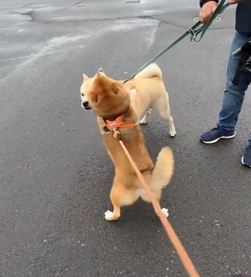 飛びついてハグ♡