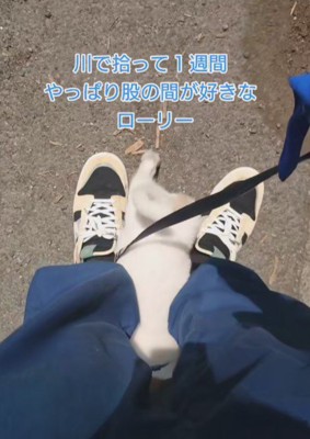 足の間に入ること！！