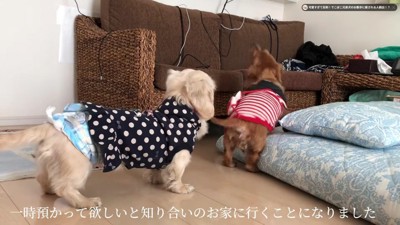 知人に預けられるも…