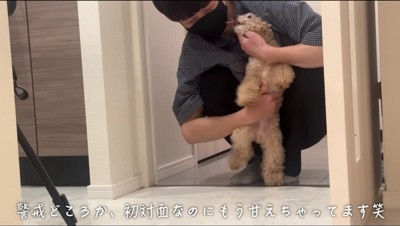 立ち上がって男性の顔を舐める犬