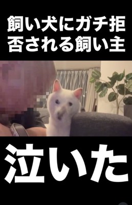 前足で「拒否」