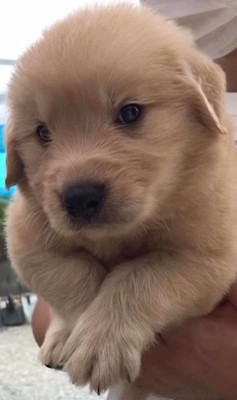 かーる君の成長記録