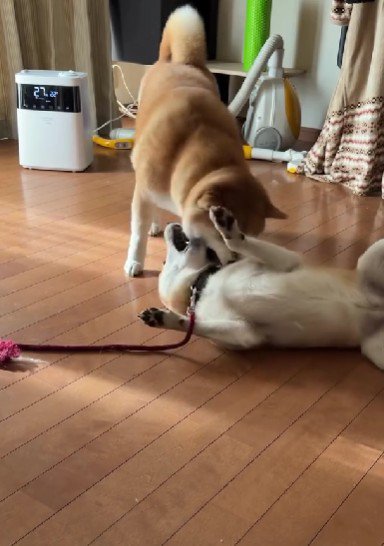 ワンプロに発展!!