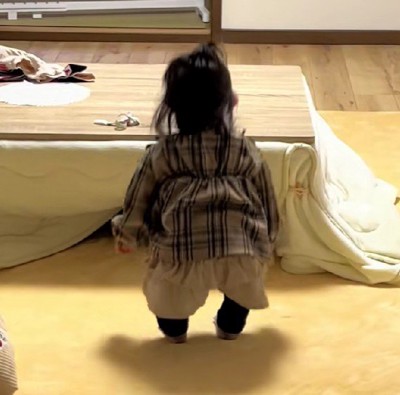 こたつの中に逃げるルナちゃん