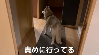 「なんで忘れたんや」