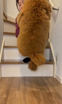 ぴょんっと飛び乗ってきました♪