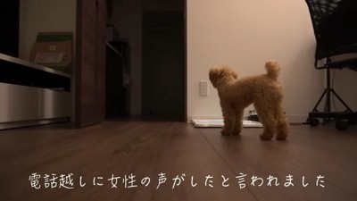 「女性の声が聞こえる」