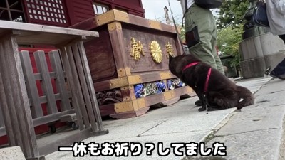 狼を祀る神社で参拝