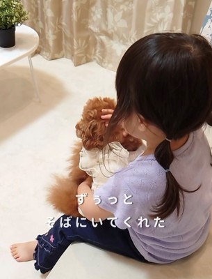 抱っこされる犬