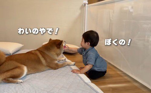 仲良しで微笑ましい♪
