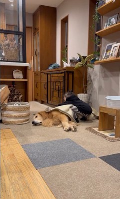 たお君を寝かしつける女の子6