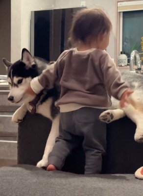 起き上がる赤ちゃん