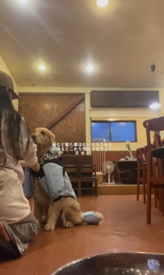 初めてカッパを着たライトくん5