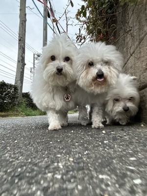 ぴったり
