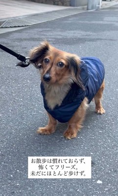 ラホちゃんとの出会いと現在8