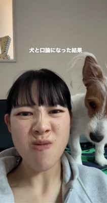 飼い主の顔を眺める犬