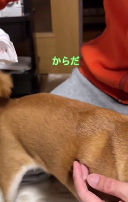 癒しのルーティン♡