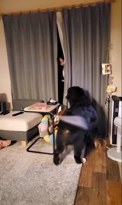 お姉ちゃんが帰省した時の眞秋くん7