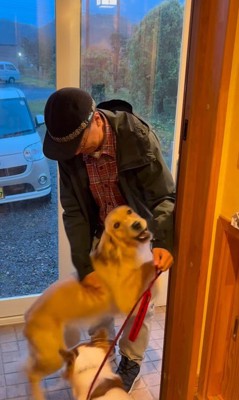 ざらめちゃんとパパの再会⑩