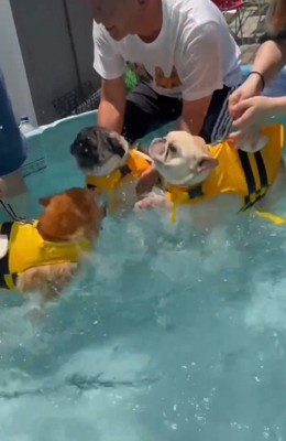 ビショビショの3匹