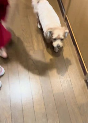 予想に反して大歓迎
