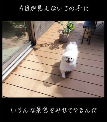 「いろんな景色を見せてあげたい」