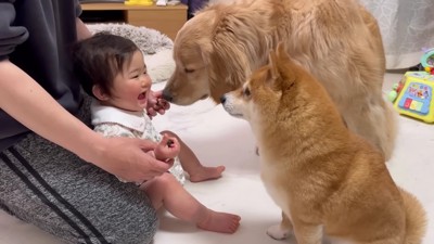 元気になってよかったね