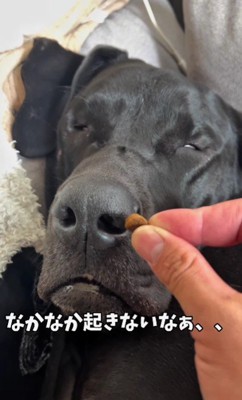 なかなか起きない