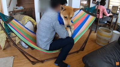 お父さんと一緒に乗ってみます