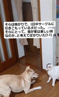 そらちゃんの変化3