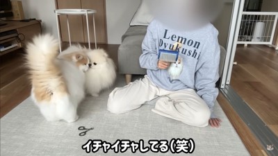 レモンさんを守ろうとするポテチくん3