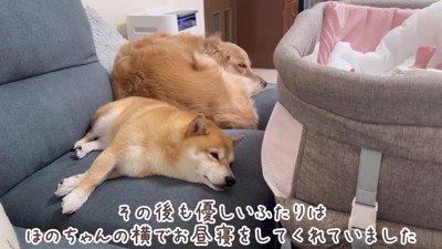 ずっと見守っていたそう