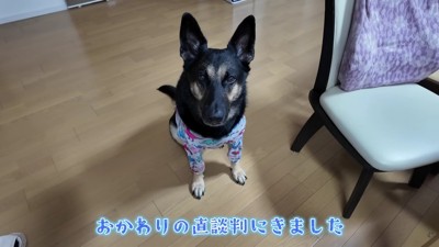 目の前まで来て直談判