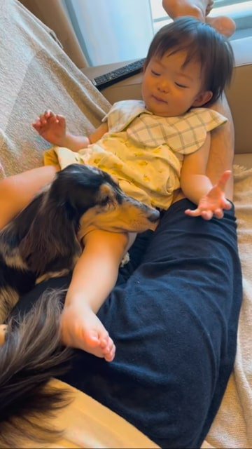 子どもの脚の上に顎を乗せる犬