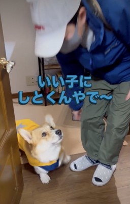 表情の変わりっぷりがすごい