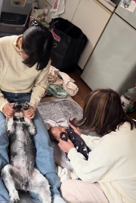 甘えん坊なトンボくんに…