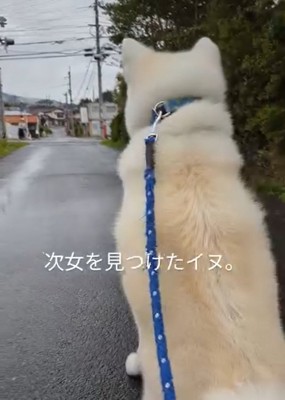 お座りするこうたろう君