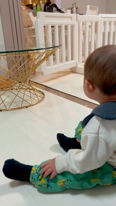 開けた扉から出て行く犬