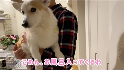 男性に抱っこされながら、女性を横目で見る犬