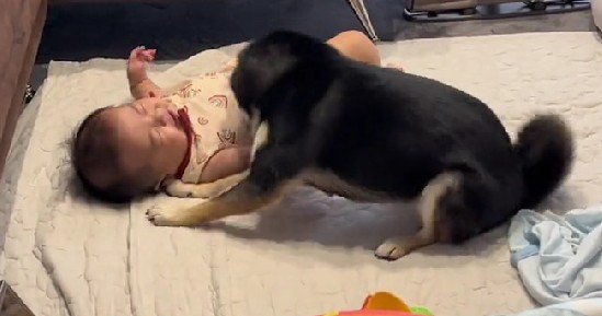 「頑張れ頑張れ！！」