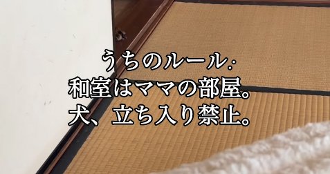 飼い主の家のルール