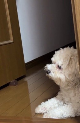 「話聞くくらい出来るで…」