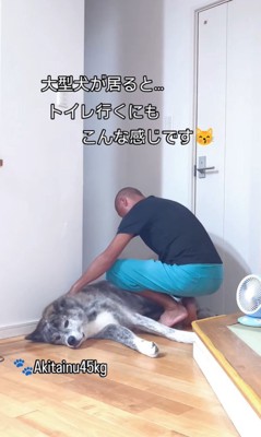 トイレに行きたいパパさんVS虎男くん5