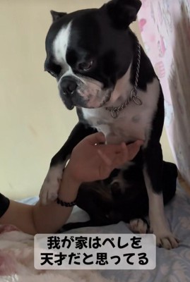 お姉ちゃんへの愛を感じます