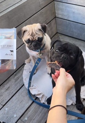 おやつを食べる雲丹ちゃん