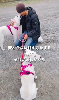 マナちゃんの現在までの軌跡9