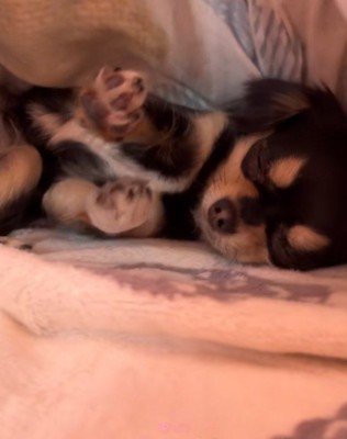 不思議な体勢でフリーズ！？