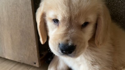 不貞腐れたお顔も可愛い♡